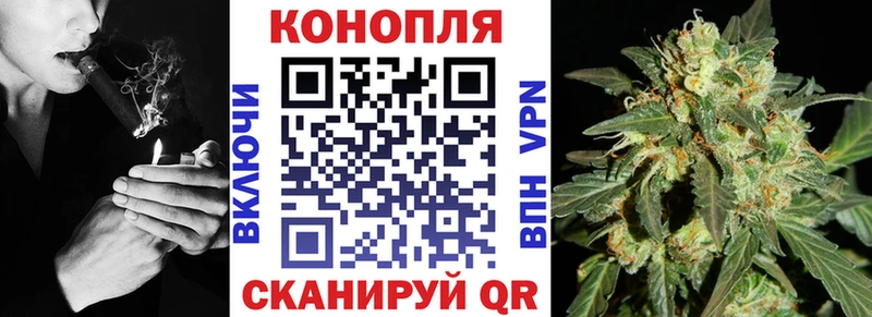 COCAIN Заозёрск