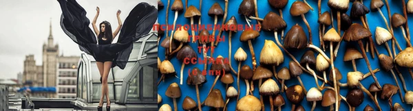 мдпв Михайловка